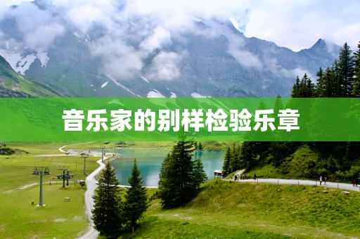音乐家的别样检验乐章