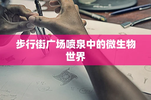 步行街广场喷泉中的微生物世界