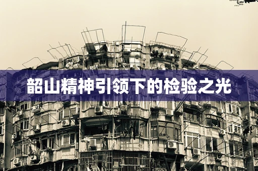 韶山精神引领下的检验之光