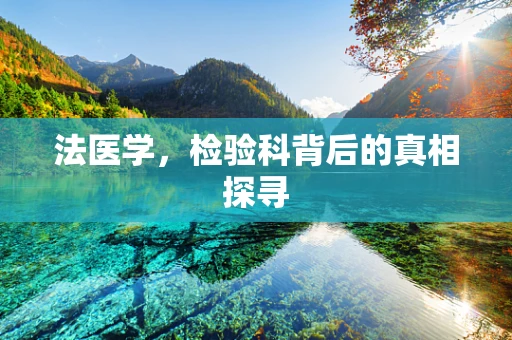 法医学，检验科背后的真相探寻