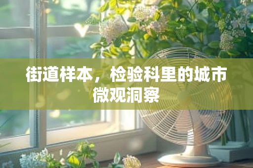 街道样本，检验科里的城市微观洞察
