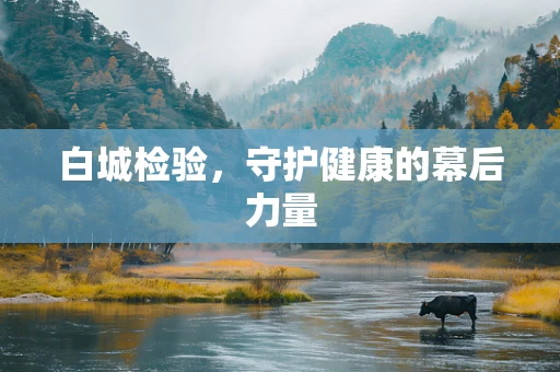 白城检验，守护健康的幕后力量