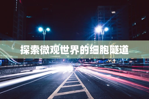 探索微观世界的细胞隧道