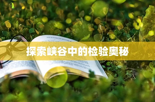 探索峡谷中的检验奥秘