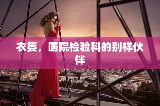 衣篓，医院检验科的别样伙伴