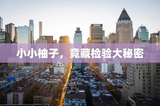 小小柚子，竟藏检验大秘密