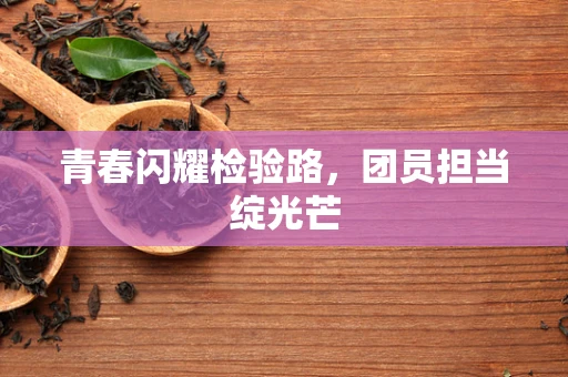 青春闪耀检验路，团员担当绽光芒