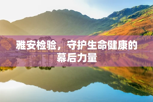 雅安检验，守护生命健康的幕后力量