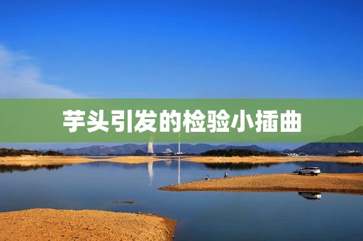 芋头引发的检验小插曲
