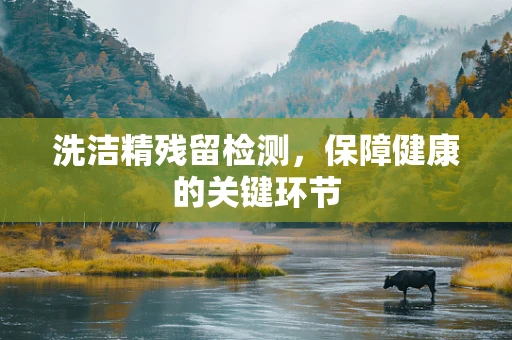 洗洁精残留检测，保障健康的关键环节