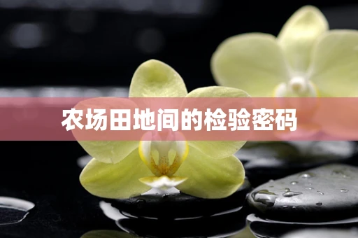 农场田地间的检验密码