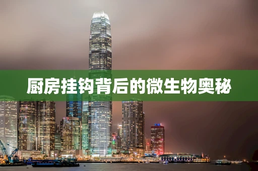 厨房挂钩背后的微生物奥秘