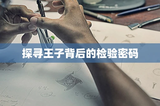 探寻王子背后的检验密码