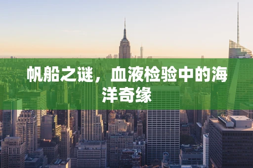 帆船之谜，血液检验中的海洋奇缘