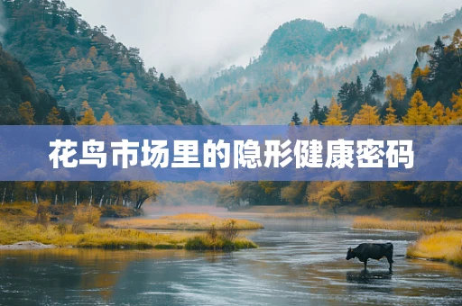 花鸟市场里的隐形健康密码