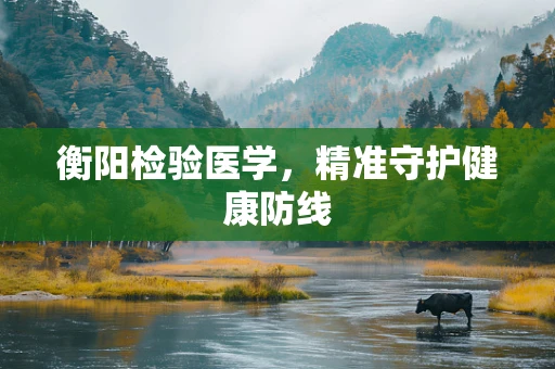 衡阳检验医学，精准守护健康防线
