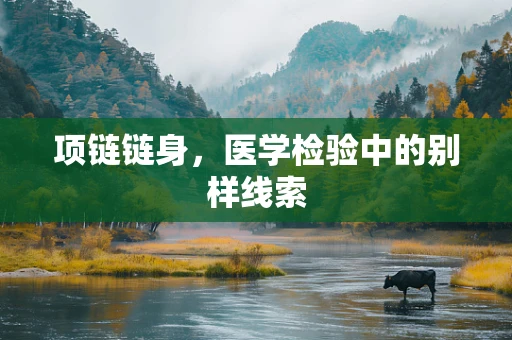 项链链身，医学检验中的别样线索