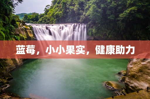 蓝莓，小小果实，健康助力