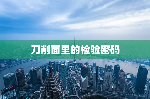 刀削面里的检验密码