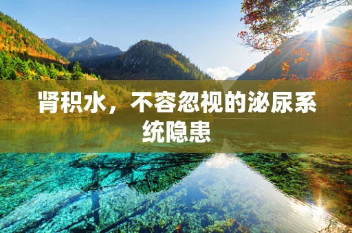 肾积水，不容忽视的泌尿系统隐患