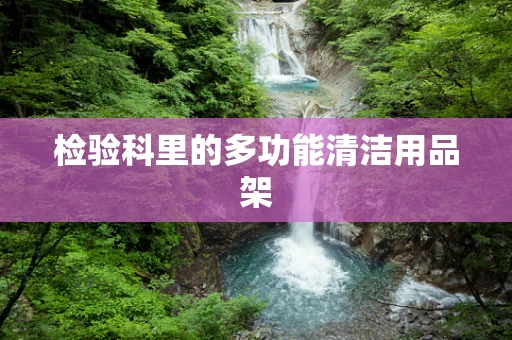 检验科里的多功能清洁用品架