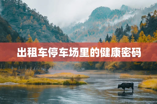 出租车停车场里的健康密码