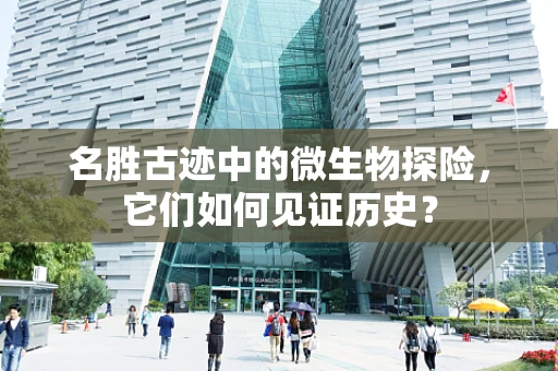 名胜古迹中的微生物探险，它们如何见证历史？