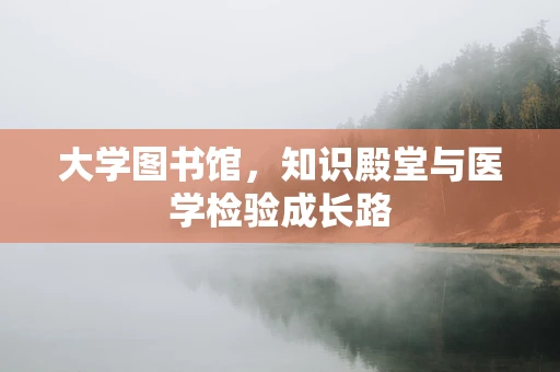 大学图书馆，知识殿堂与医学检验成长路