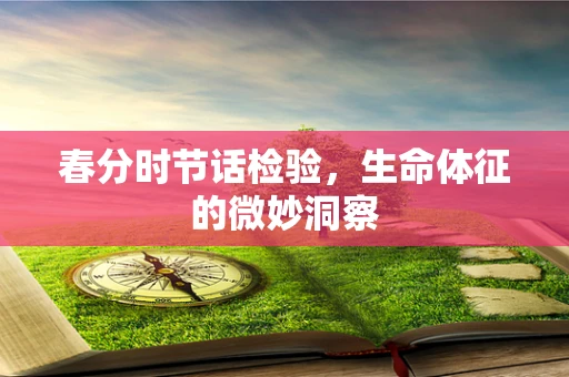 春分时节话检验，生命体征的微妙洞察