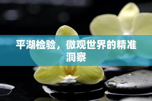 平湖检验，微观世界的精准洞察