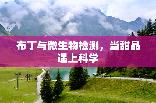 布丁与微生物检测，当甜品遇上科学