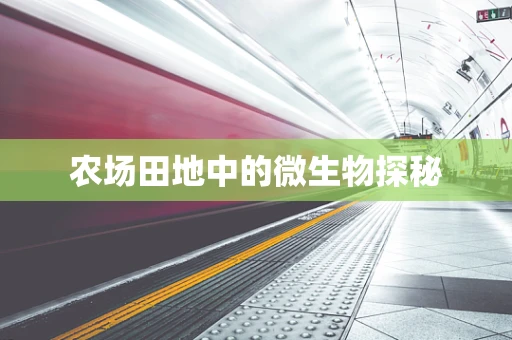 农场田地中的微生物探秘