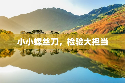 小小螺丝刀，检验大担当