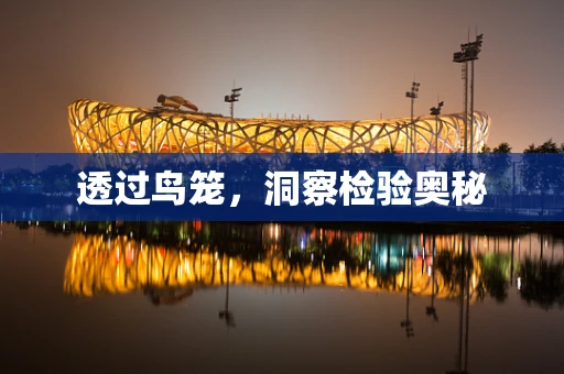 透过鸟笼，洞察检验奥秘