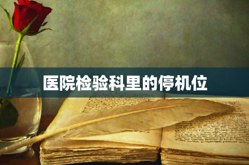 医院检验科里的停机位