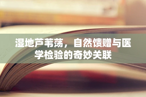 湿地芦苇荡，自然馈赠与医学检验的奇妙关联