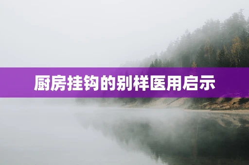 厨房挂钩的别样医用启示