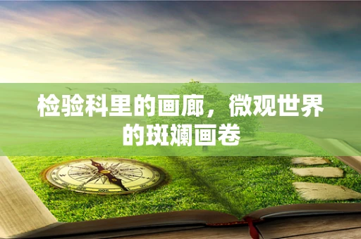 检验科里的画廊，微观世界的斑斓画卷
