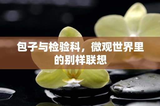 包子与检验科，微观世界里的别样联想