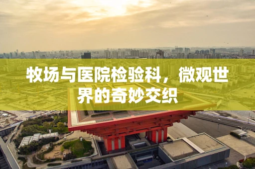 牧场与医院检验科，微观世界的奇妙交织