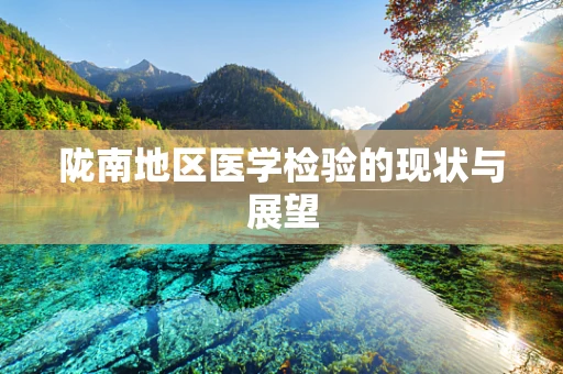陇南地区医学检验的现状与展望