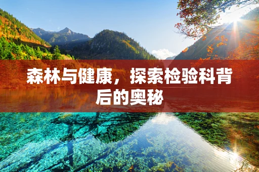 森林与健康，探索检验科背后的奥秘