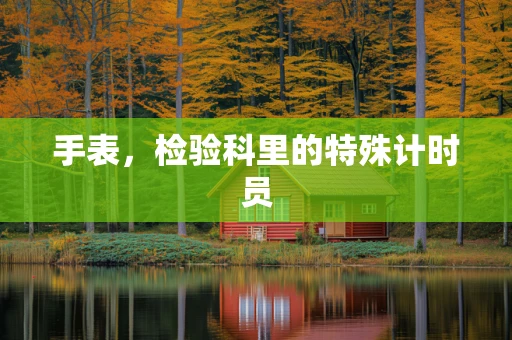 手表，检验科里的特殊计时员