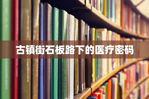古镇街石板路下的医疗密码