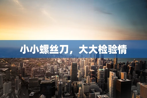 小小螺丝刀，大大检验情