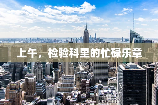 上午，检验科里的忙碌乐章