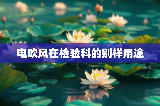 电吹风在检验科的别样用途