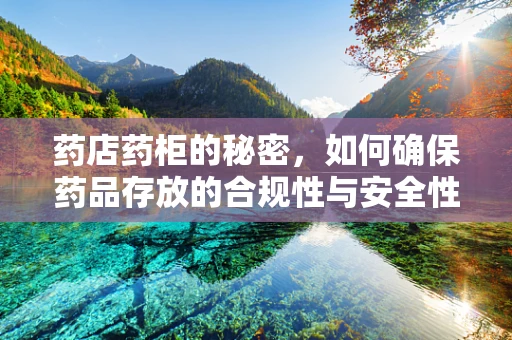 药店药柜的秘密，如何确保药品存放的合规性与安全性？