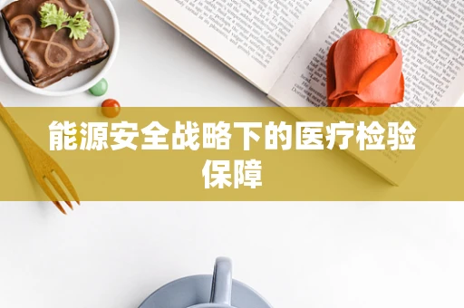 能源安全战略下的医疗检验保障