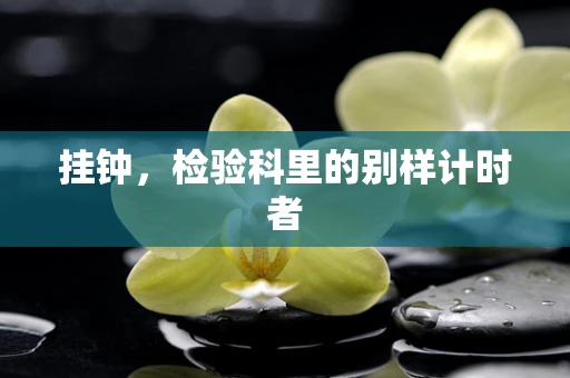 挂钟，检验科里的别样计时者